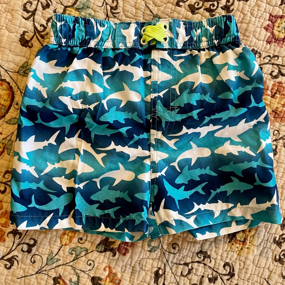 Baby Boys Swim Trunks Size 18 months